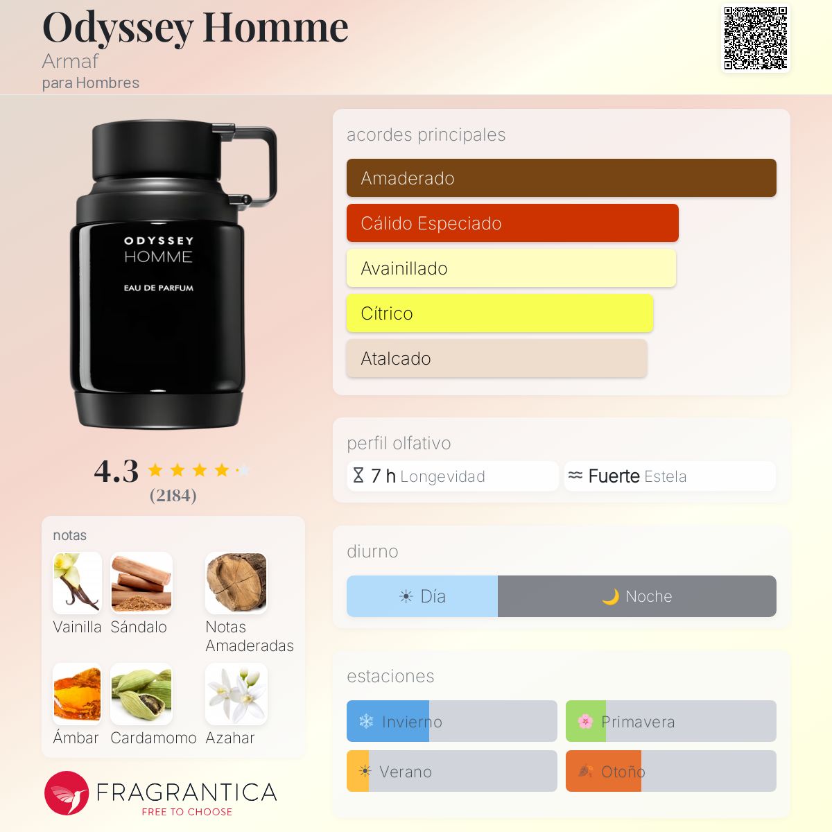 Armaf Odyssey Homme · Eau de Parfum 100 ml · para Hombre — pirámide olfativa con las notas de salida, corazón y fondo