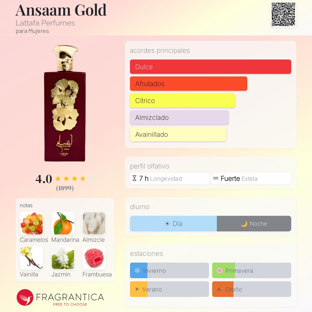 Lattafa Ansaam Gold · Eau de Parfum 100 ml · Unisex — pirámide olfativa con las notas de salida, corazón y fondo
