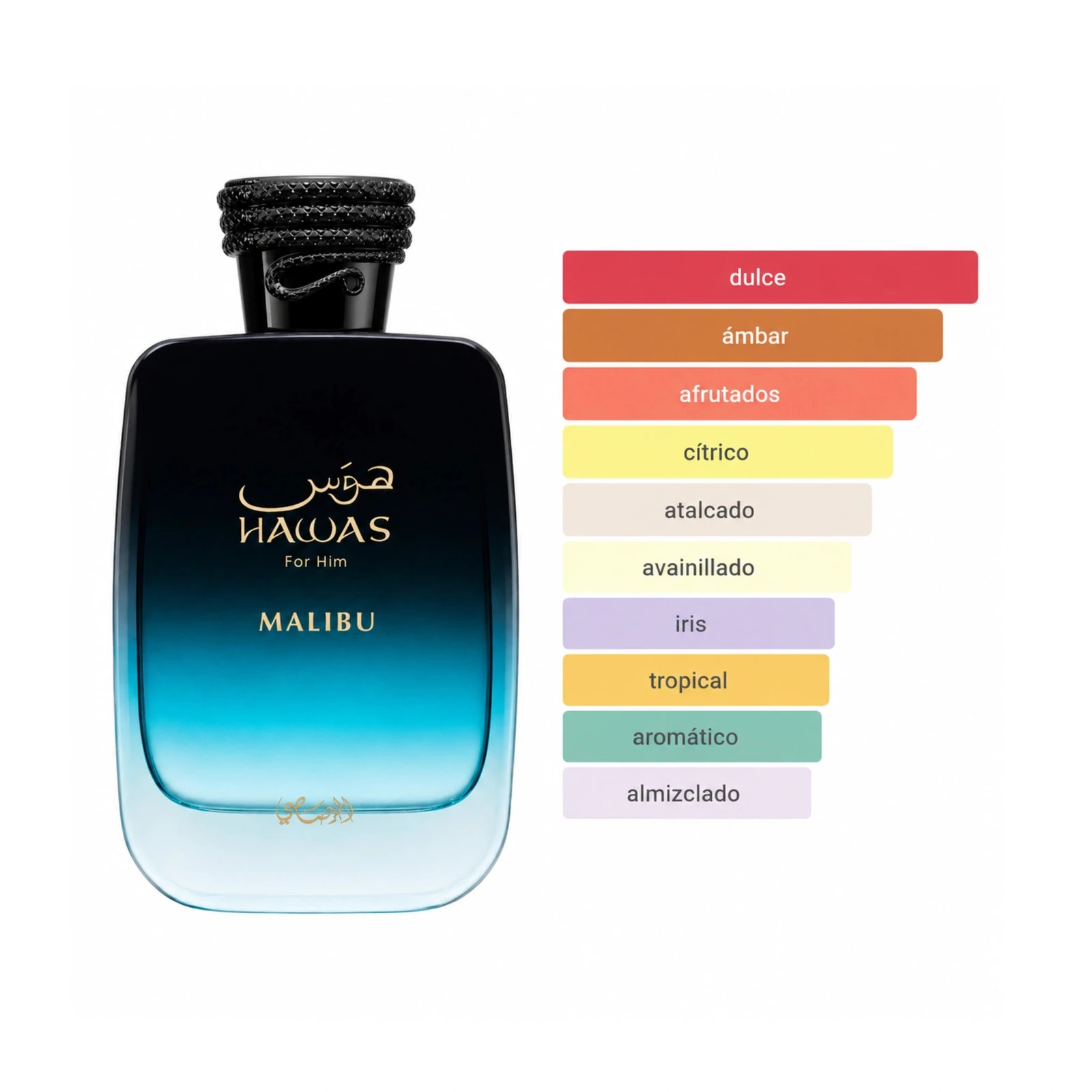 Rasasi Hawas Malibu · Eau de Parfum 100 ml · para Hombre — gráfico de acordes principales publicado por el fabricante