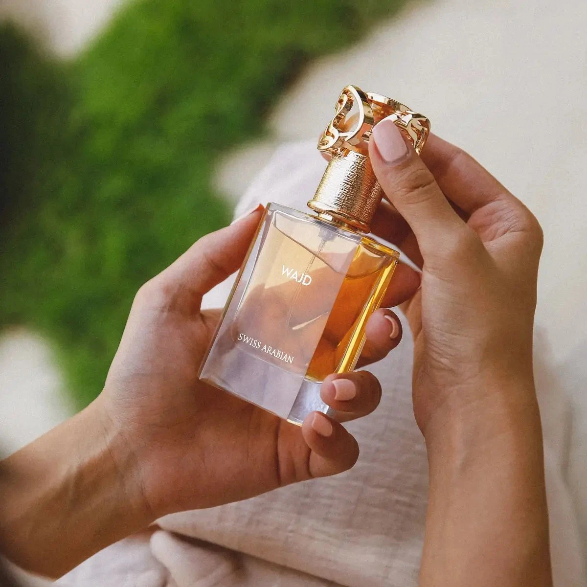 Swiss Arabian Wajd · Eau de Parfum 50 ml · Unisex — el frasco sostenido en la mano, para hacerse a la idea del tamaño